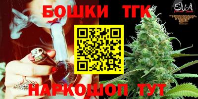 шишки Шелехов