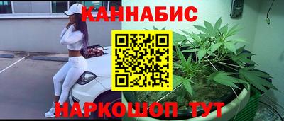 шишки Шелехов