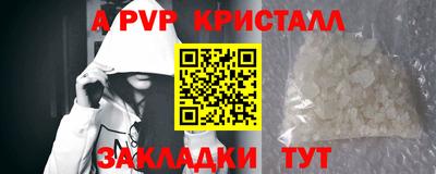 шишки Шелехов