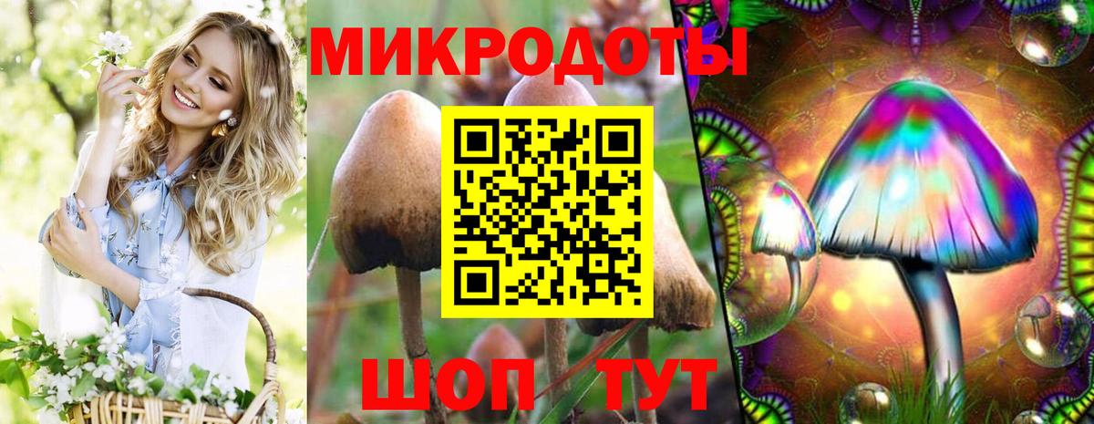 Псилоцибиновые грибы Psilocybe  Вход с VPN  Брянск 