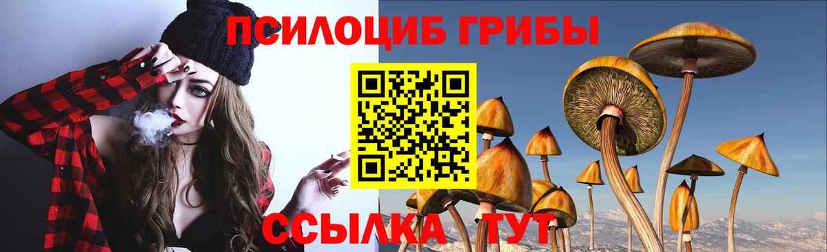 Галлюциногенные грибы мухоморы Брянск